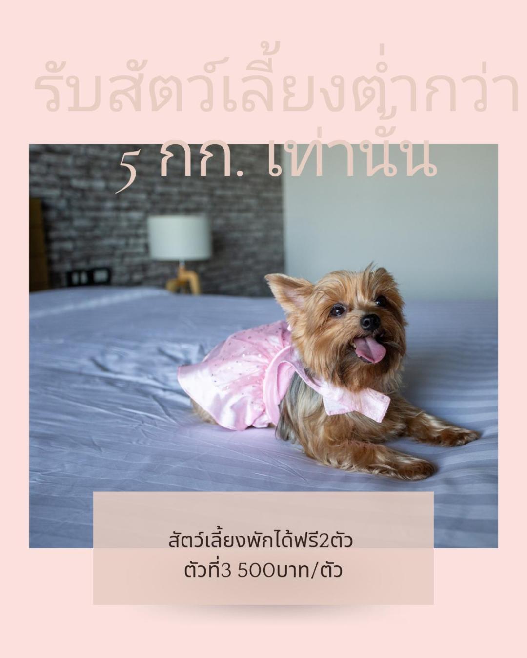 Get Zleep Premium Budget Hotel Chiang Mai Zewnętrze zdjęcie